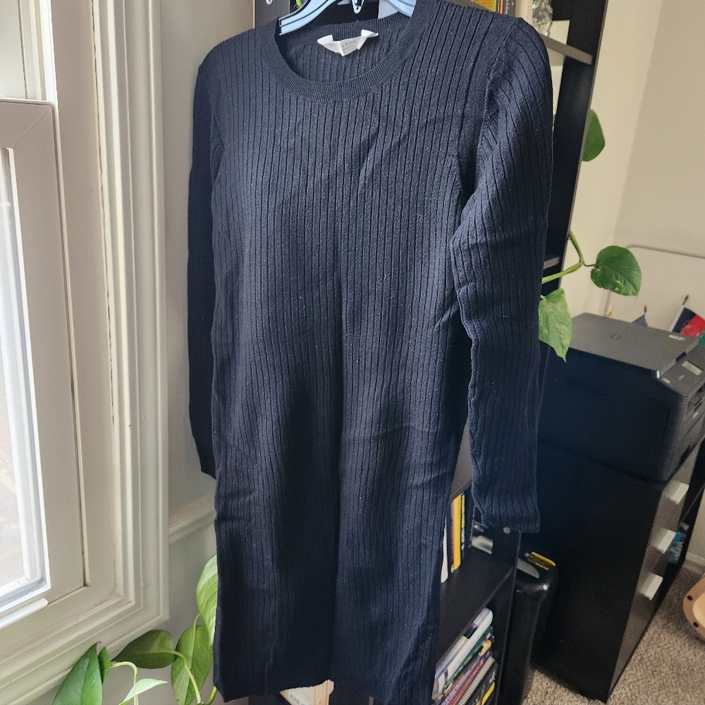 Everlane Black Ribbed Sweater Dress